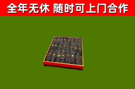 连平烟酒回收海参.jpg
